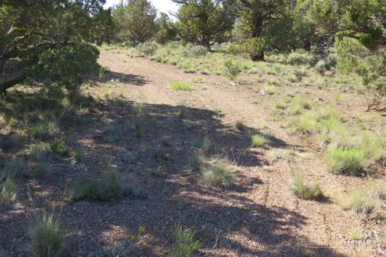 Juniper Acres - Land