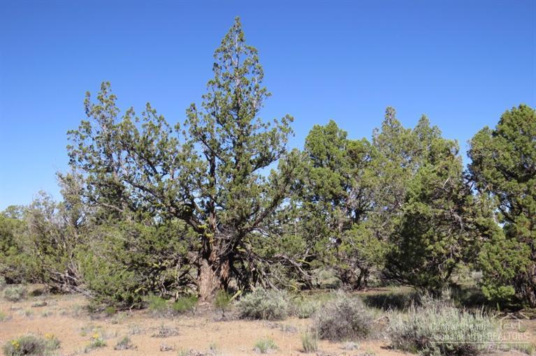 Juniper Acres - Land