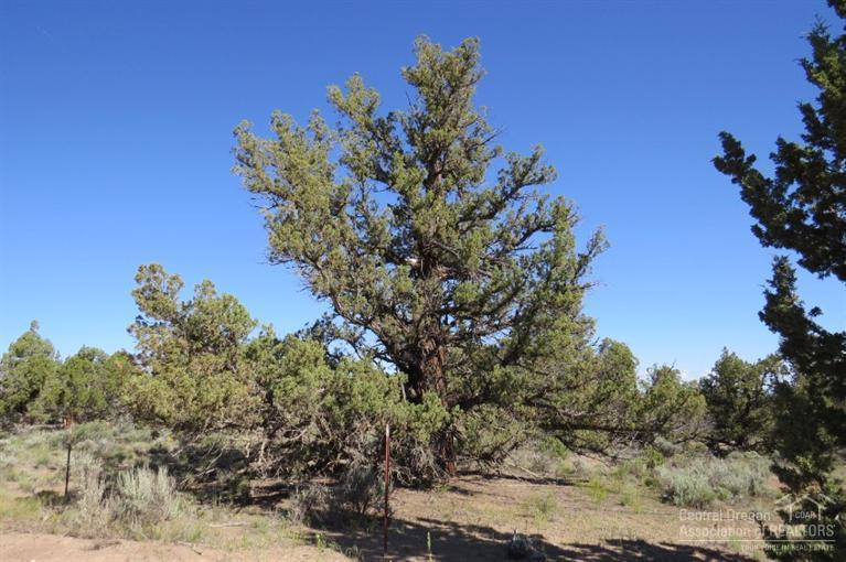 Juniper Acres - Land