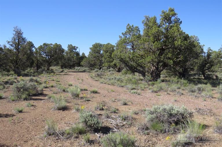 Juniper Acres - Land