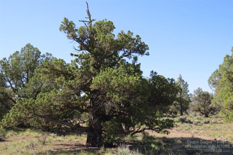 Juniper Acres - Land