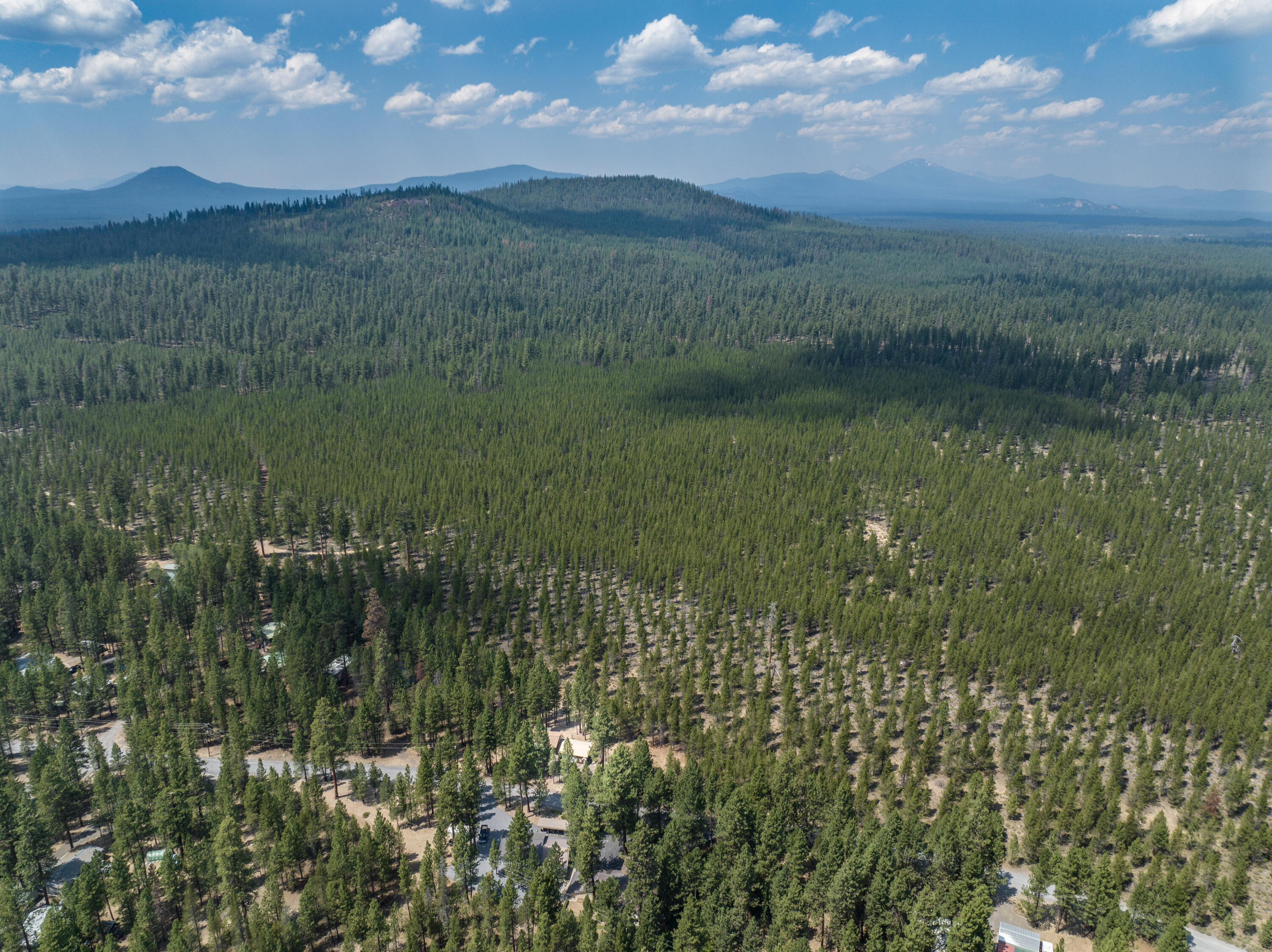 Ponderosa Pines - Residential