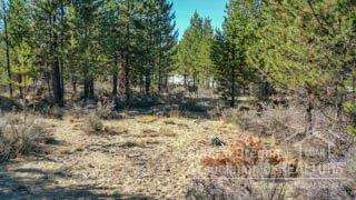 Sun Forest Estates - Land