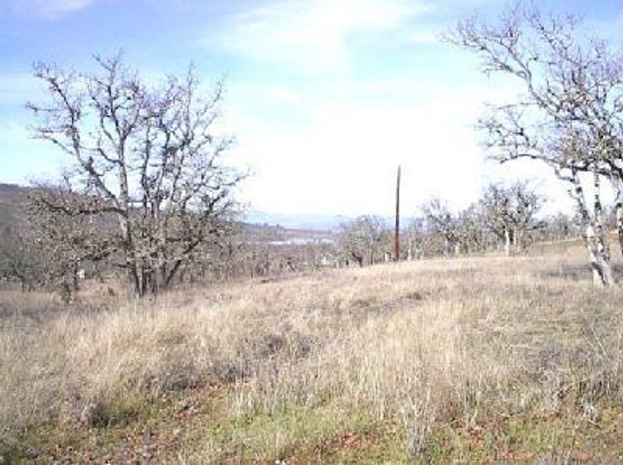 Ready for your home! Potential for panaramic views of Agate Lake & Roxy Ann. Improvements include 4 bedroom sand filter septic, homesite approval, well, pump & holding tank. Well pumps approx 5 gpm per owner. Private lender may allow new buyer to assume the existing loan. Driveway to homesite.