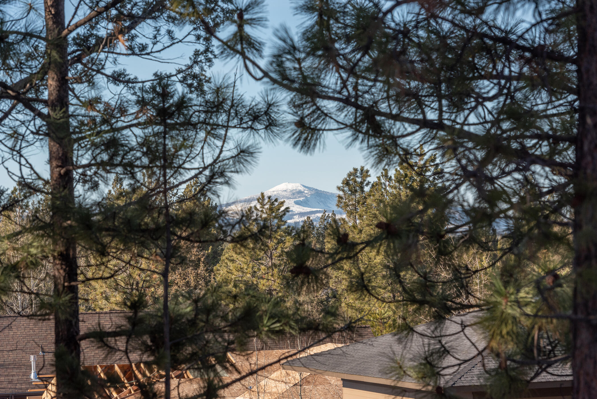 Three Pines - Residential