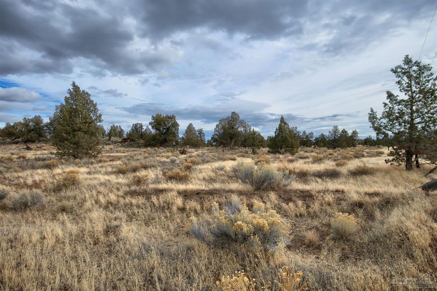 Unique 11 acre parcel situated just outside Bend's bustling East side. Enjoy peace, serenity and privacy while being only minutes from the hospital, restaurants, breweries and shopping. Wake up to the sight of elk and deer roaming your property while you relax in your custom built home. Surrounded by nature, you are bound to feel at home in your own private oasis.