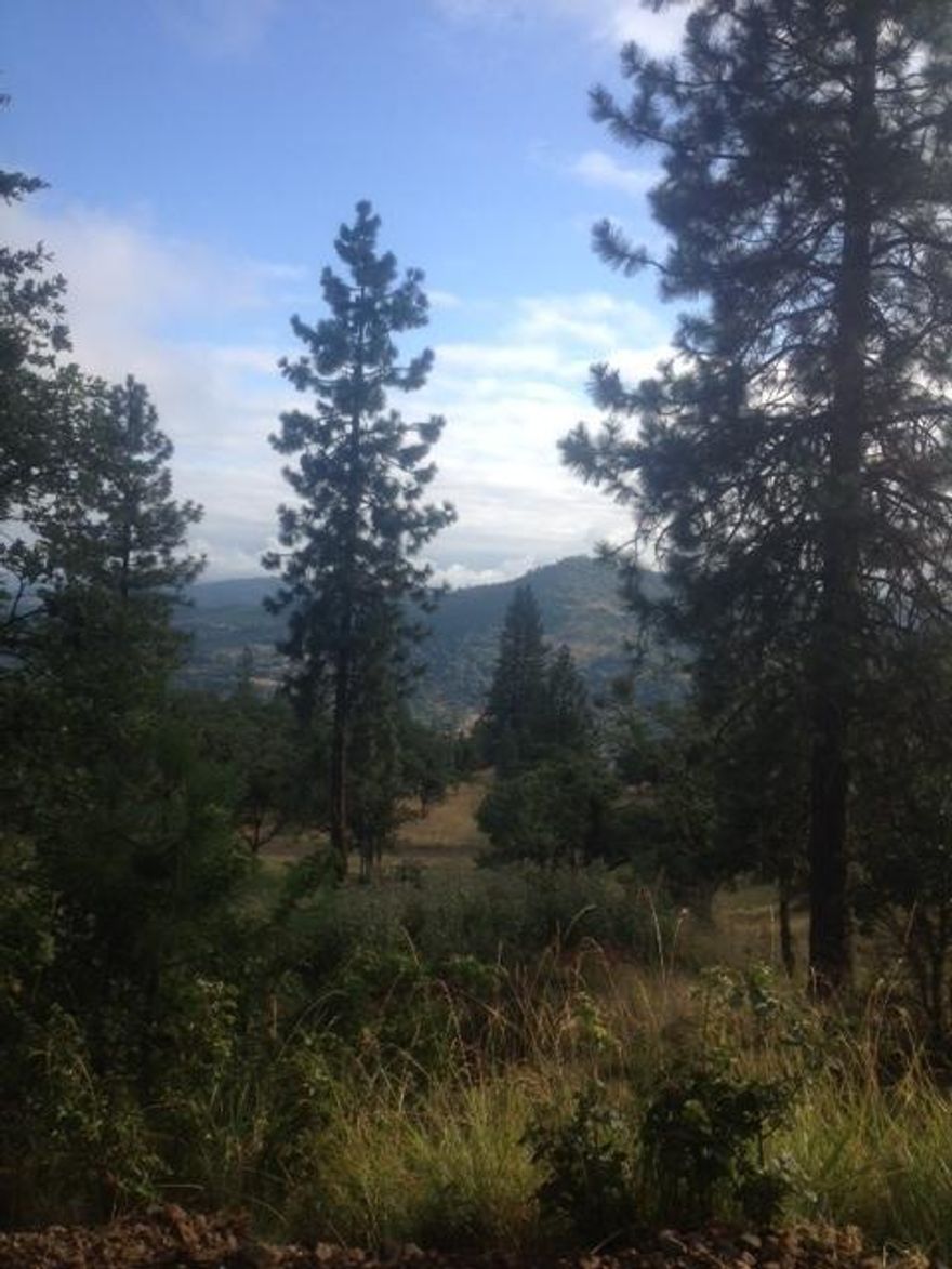 Nearly the highest part of Wren Ridge, which offers terrific views, outstanding timber and beautiful building spots. Other nice homes in the area. Minutes to Agate Lake, golfing and only 20 minutes to Costco/Safeway. This is a great rural residential property for your buyers new home. Owner may finance.