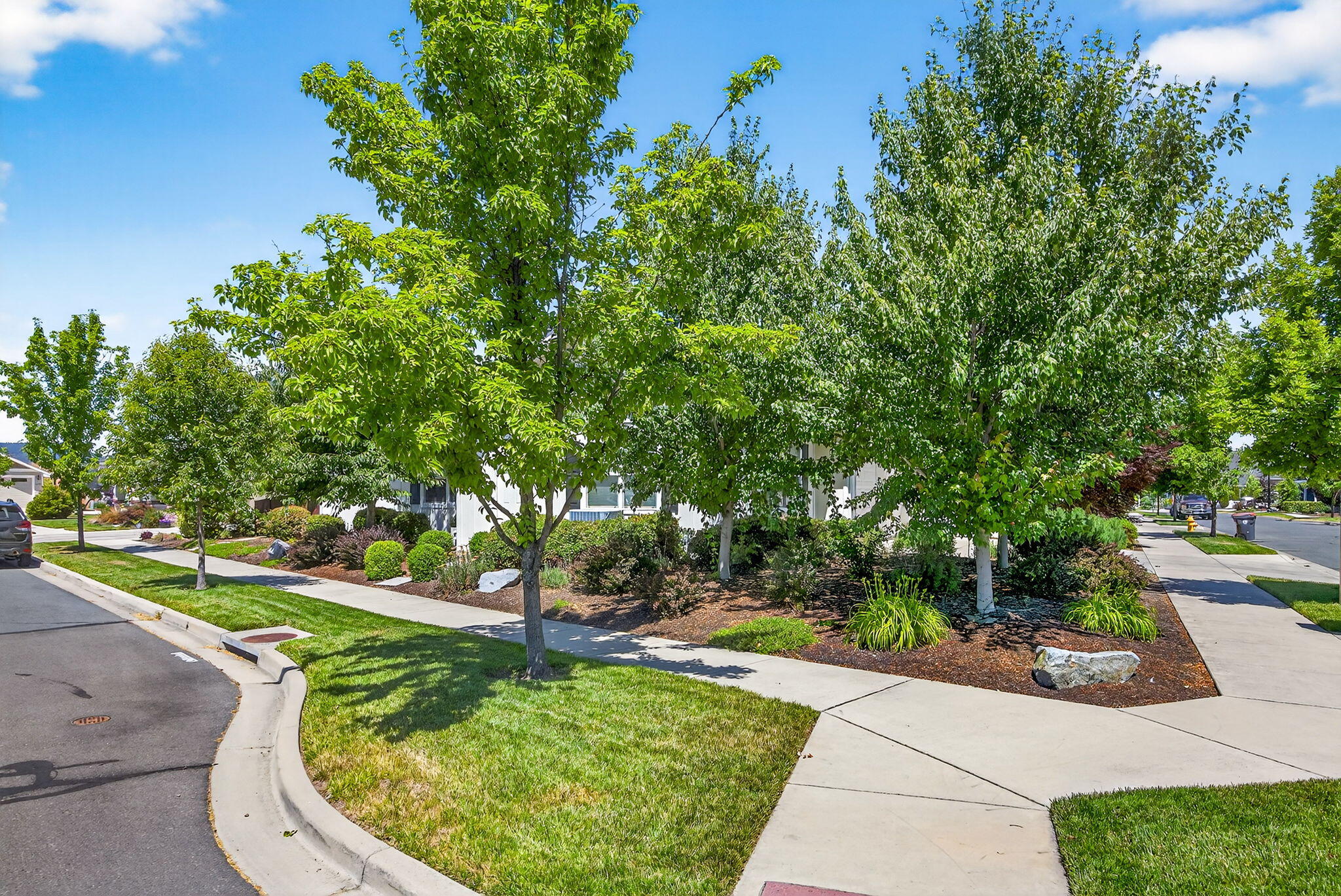 1407 Rustler Peak Street