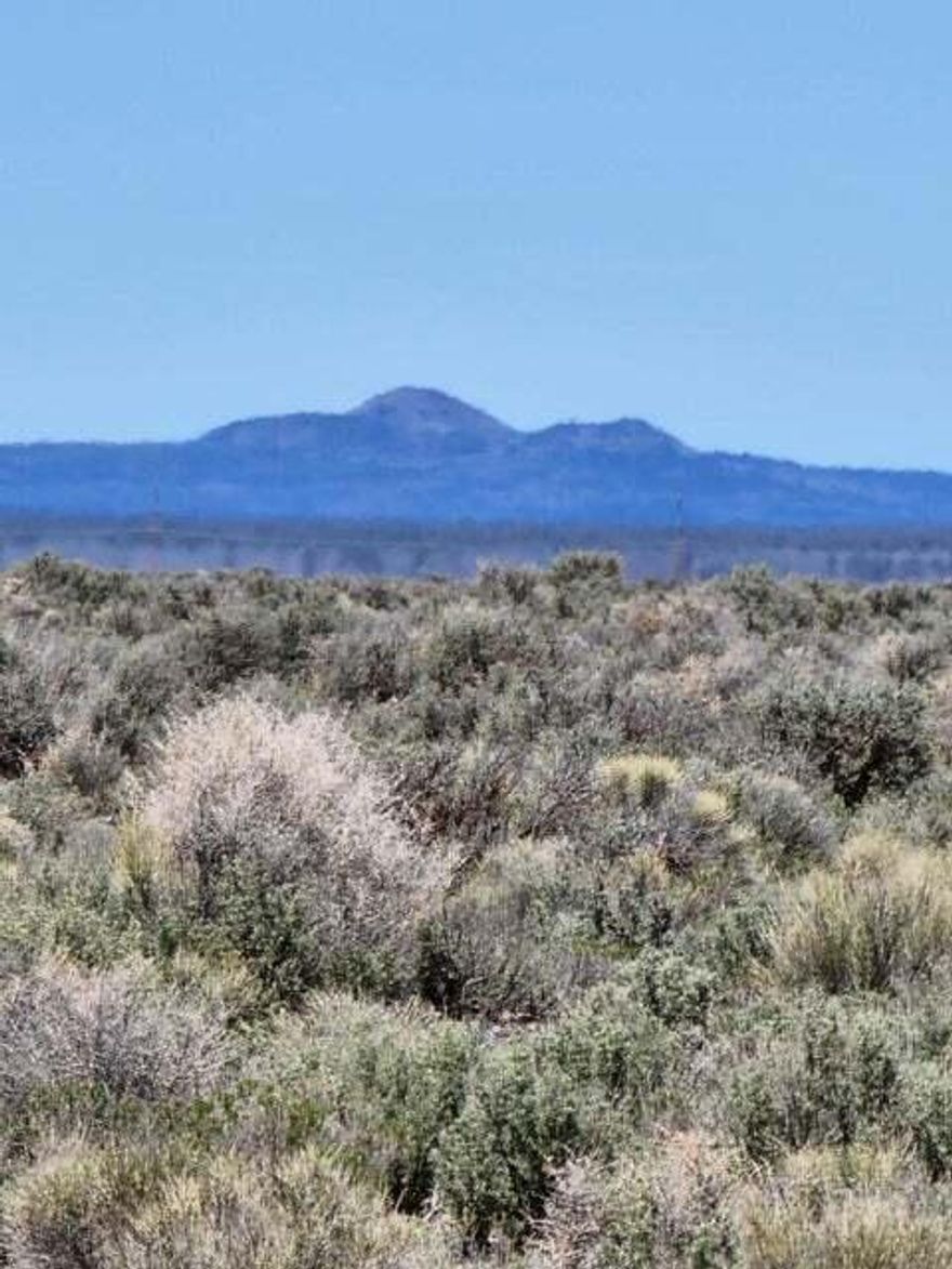 Have $10K ? Put it down on land and have your own 40 acres. Super affordable 40 acres at only $725.00 and acre. This 40 acres has all the wild wild west charm you could ever want. What a great place to make all your dreams come true. Only a few minutes to Christmas Valley where you will find shopping & dining. This 40 acres will give you all the room you need to roam, park you RV, farm, build, getaway or hold for investment. It is so peaceful you can hear a birds wings as they fly overhead and with the lack of light pollution you will see the most breath taking starry skies anywhere. You will have peaceful views of the desert, wildlife, territorial, and mountains. The sunsets are gorgeous. Freedom is closer tan you think. Recreation nearby at the Oregon Sand Dunes or fish for Bass at Anna Reservoir, Hunt and explore. Heres your chance with only $10k down. Don't miss your chance.