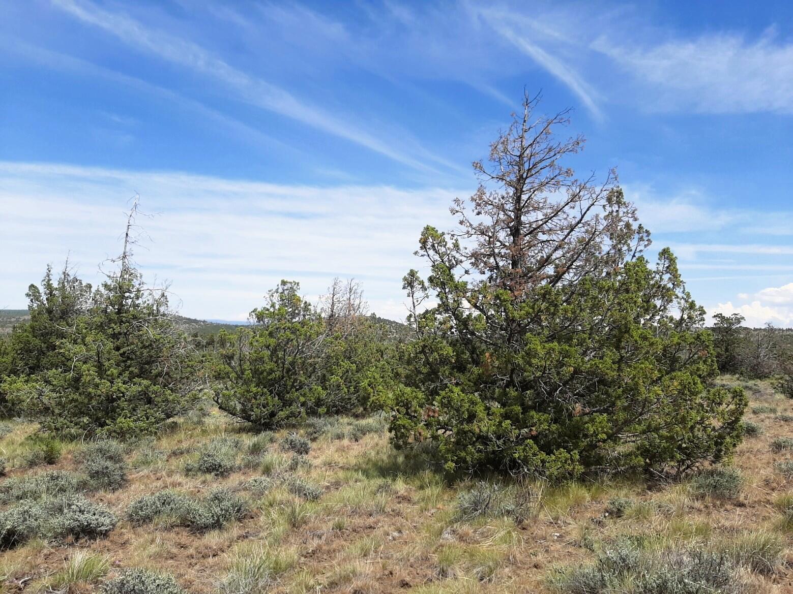 SE Weatherby Loop