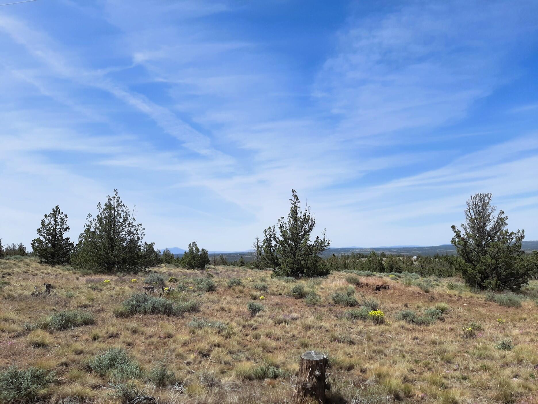 Prineville Lake Acres 1 - Land