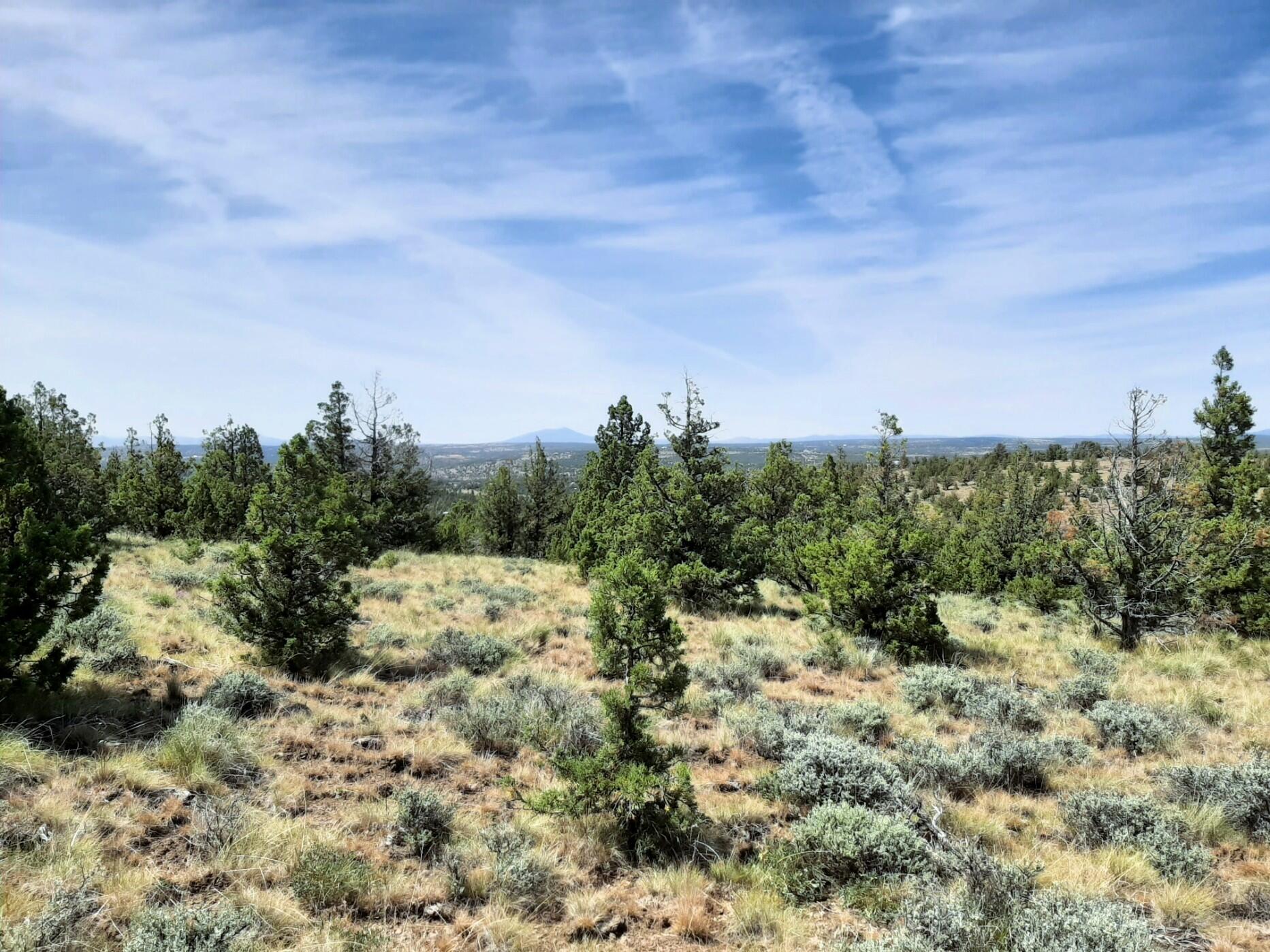 Prineville Lake Acres 1 - Land
