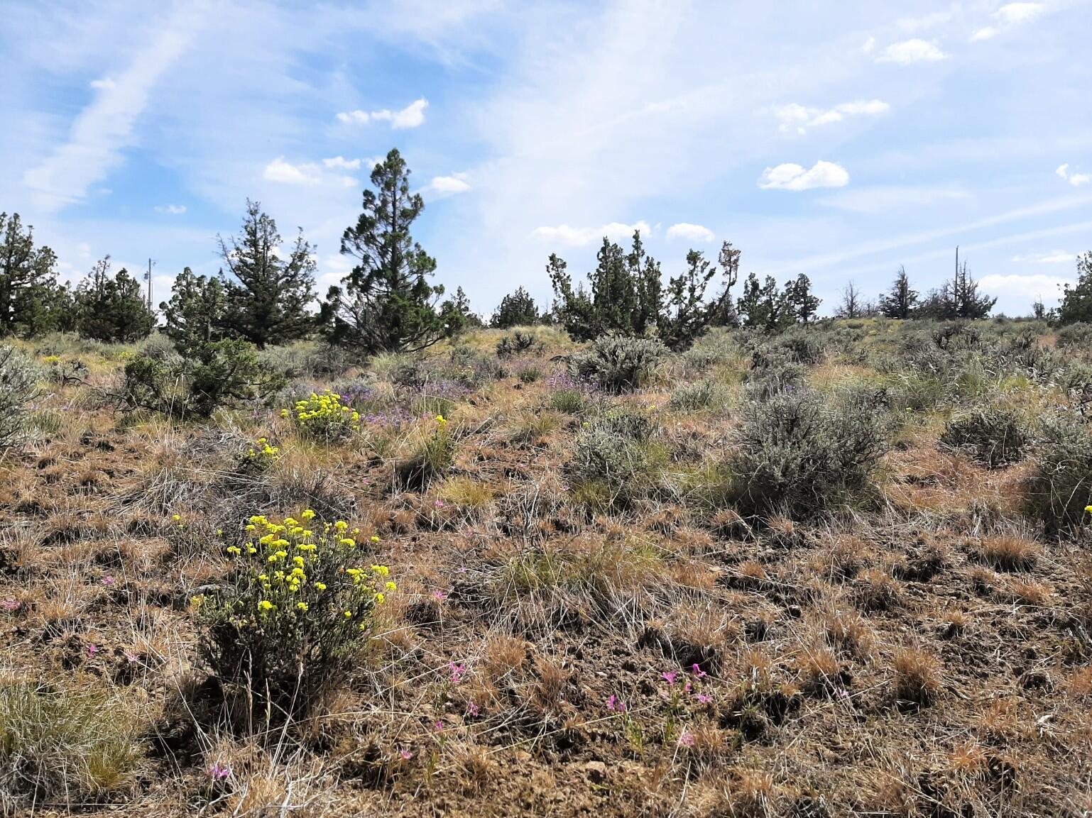 Prineville Lake Acres 1 - Land