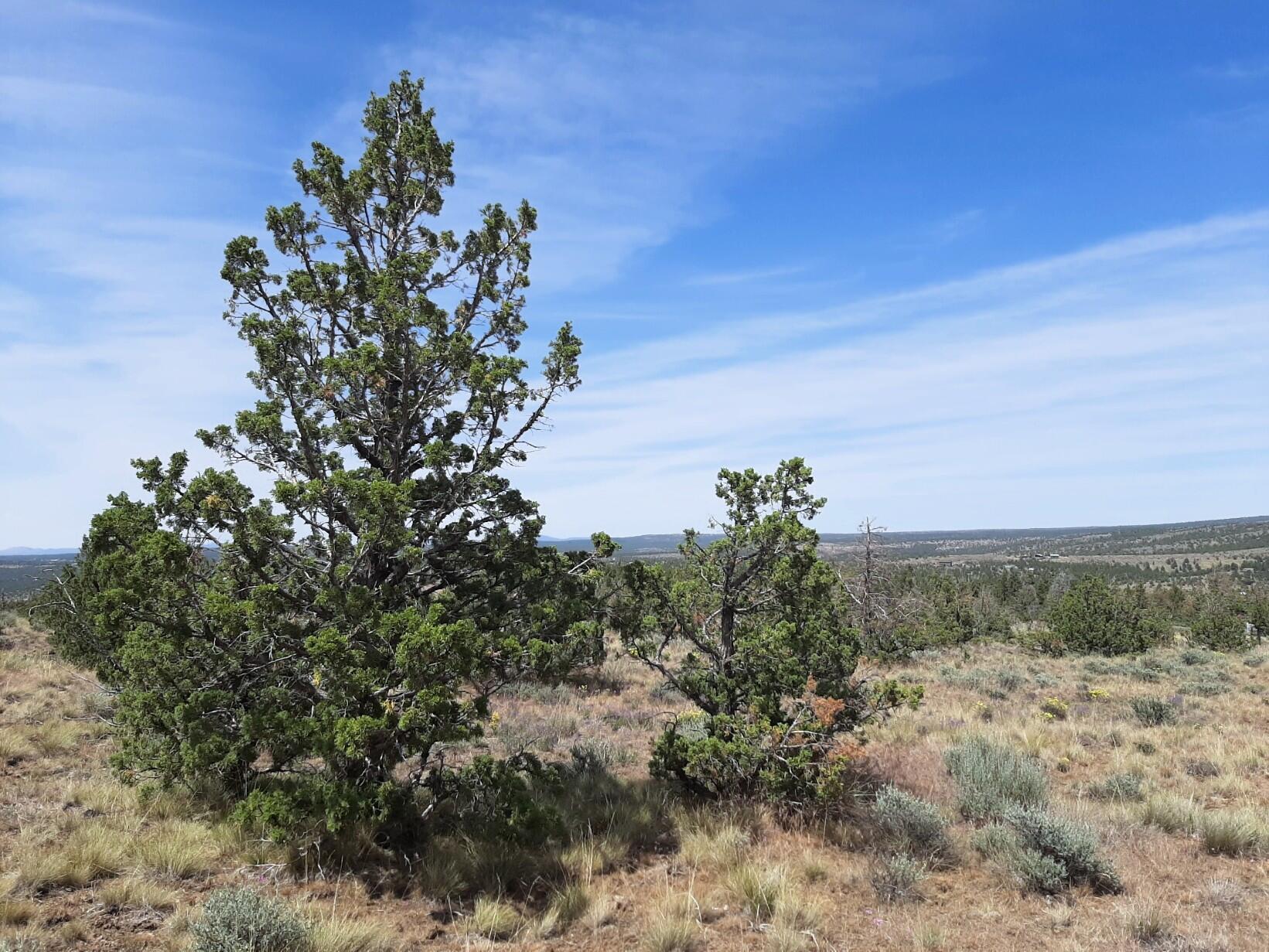 SE Weatherby Loop