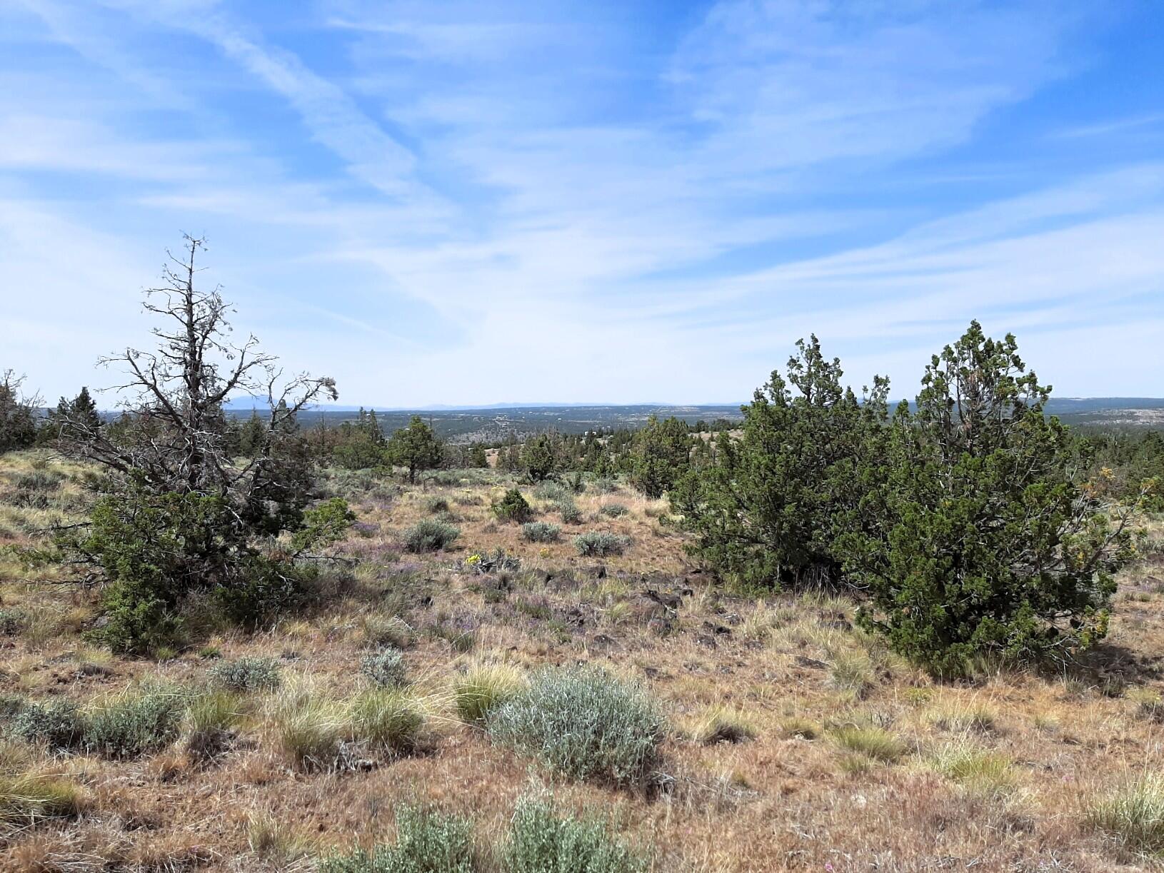 Prineville Lake Acres 1 - Land