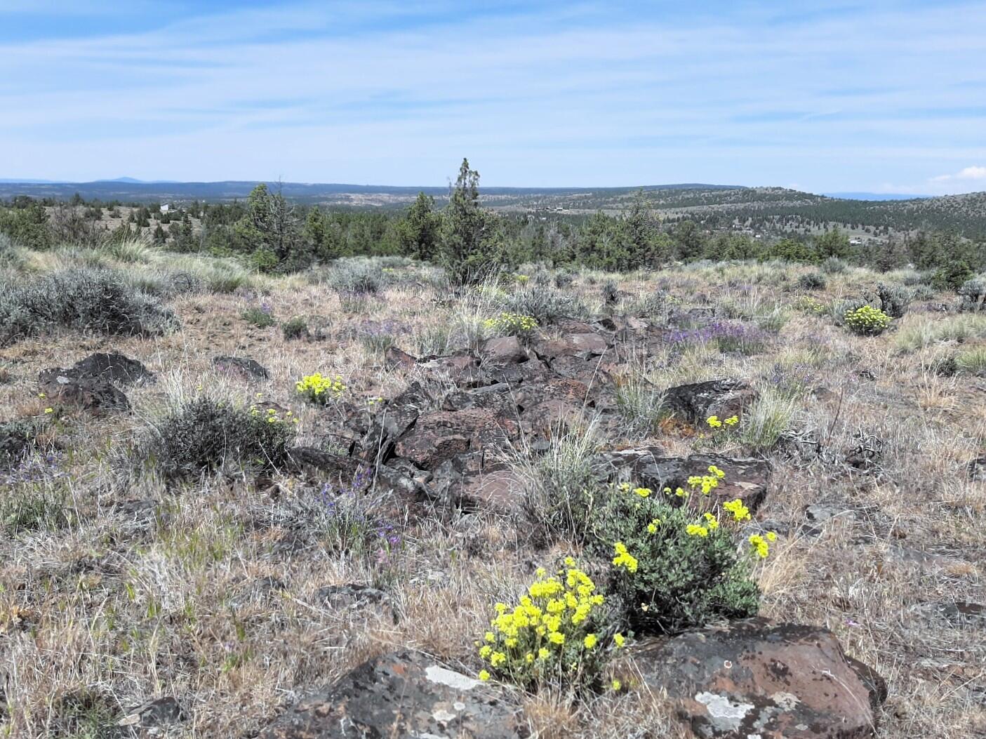 Prineville Lake Acres 1 - Land