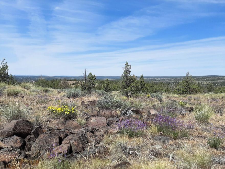 Alright people! You gotta come see this one! This is a really nice lot in Prineville Lake Acres 1. Top of the hill, nice views, only about a quarter mile away from BLM access. Power is over head along the property. 1.85 acres has plenty of room for your new home AND whatever outbuildings your heart desires to suit your recreational needs. Give your favorite agent a call and come take a look!