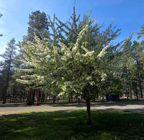Tiny photo for 53156 Day Road, La Pine, OR 97739 (MLS # 220218737)