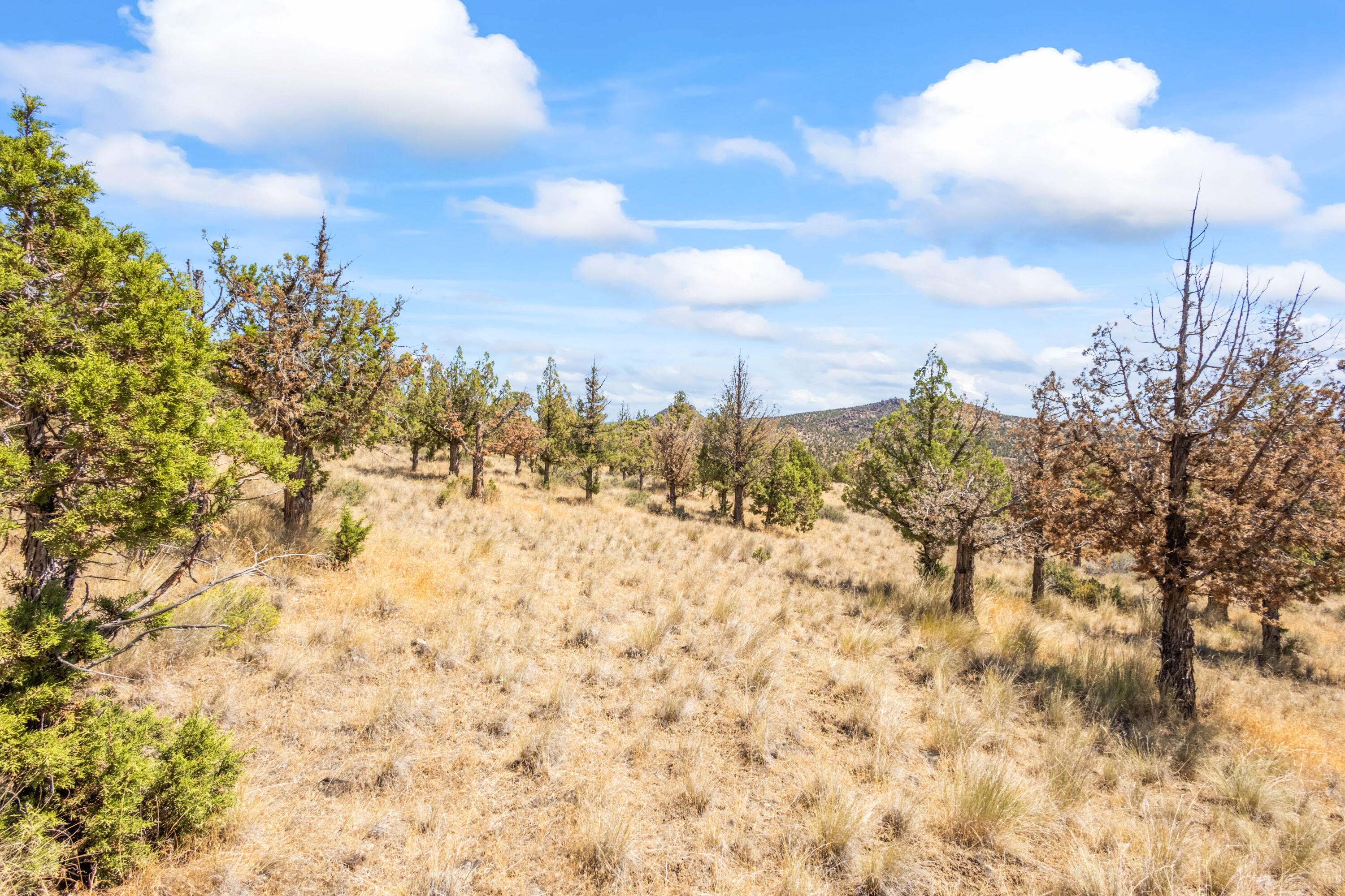 Lakeview Cove - Land