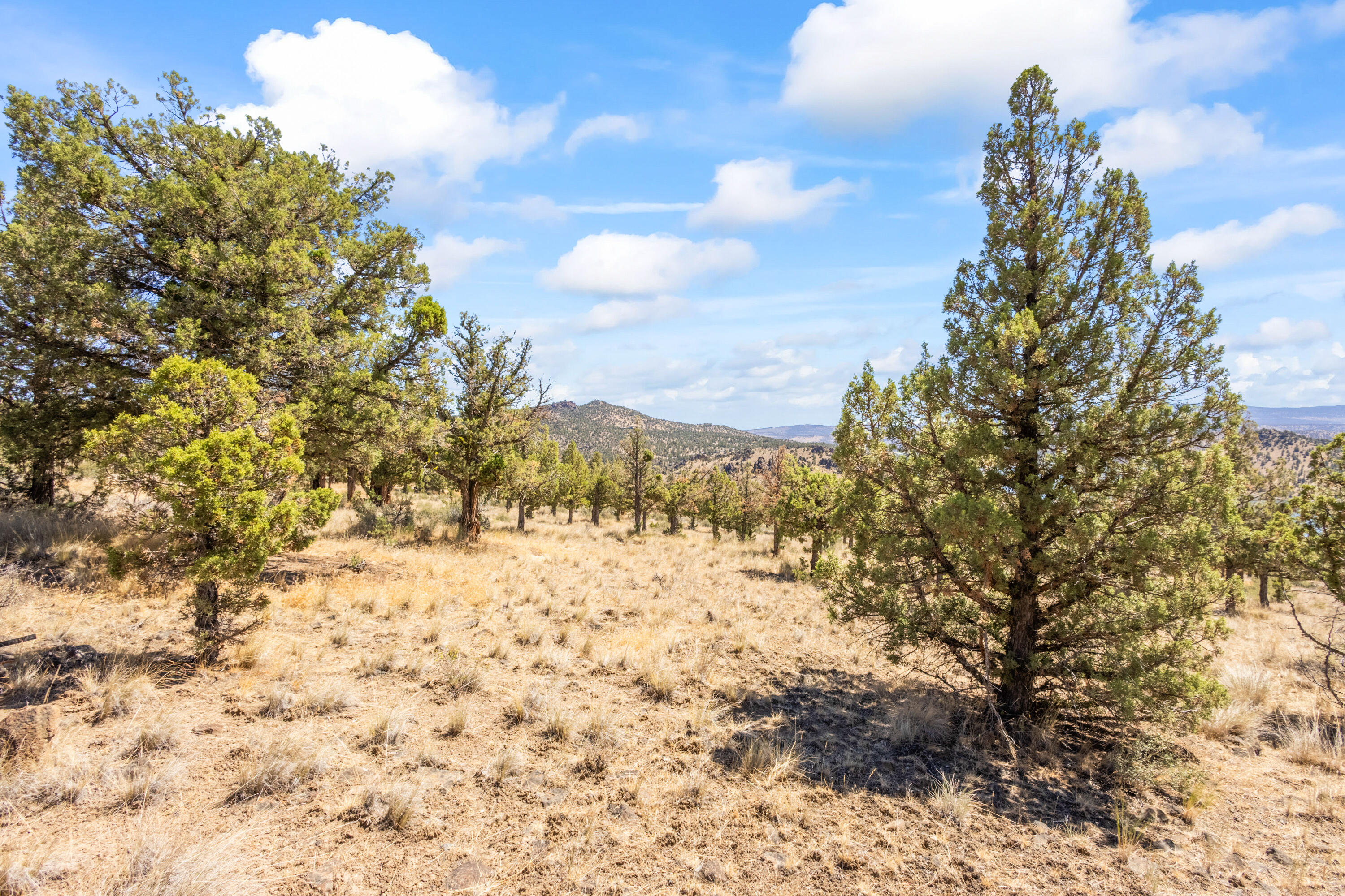 Lakeview Cove - Land