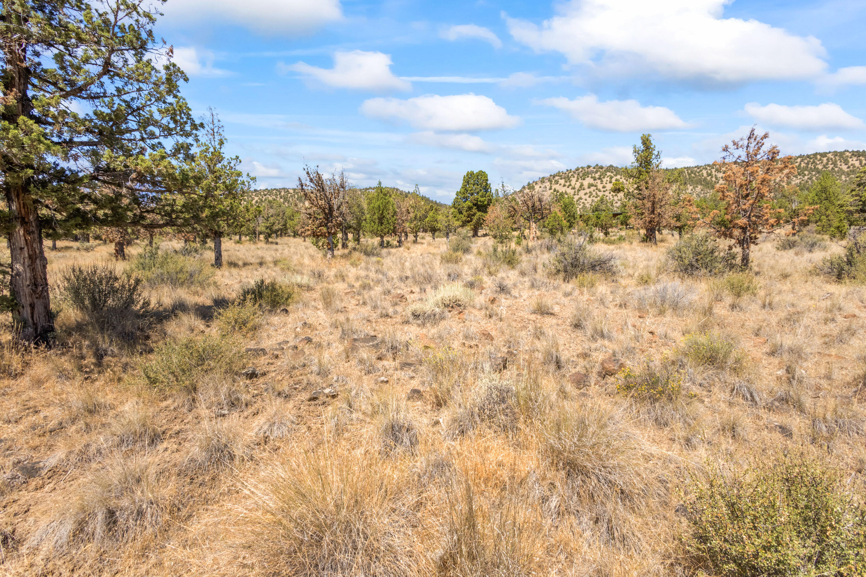 Lakeview Cove - Land