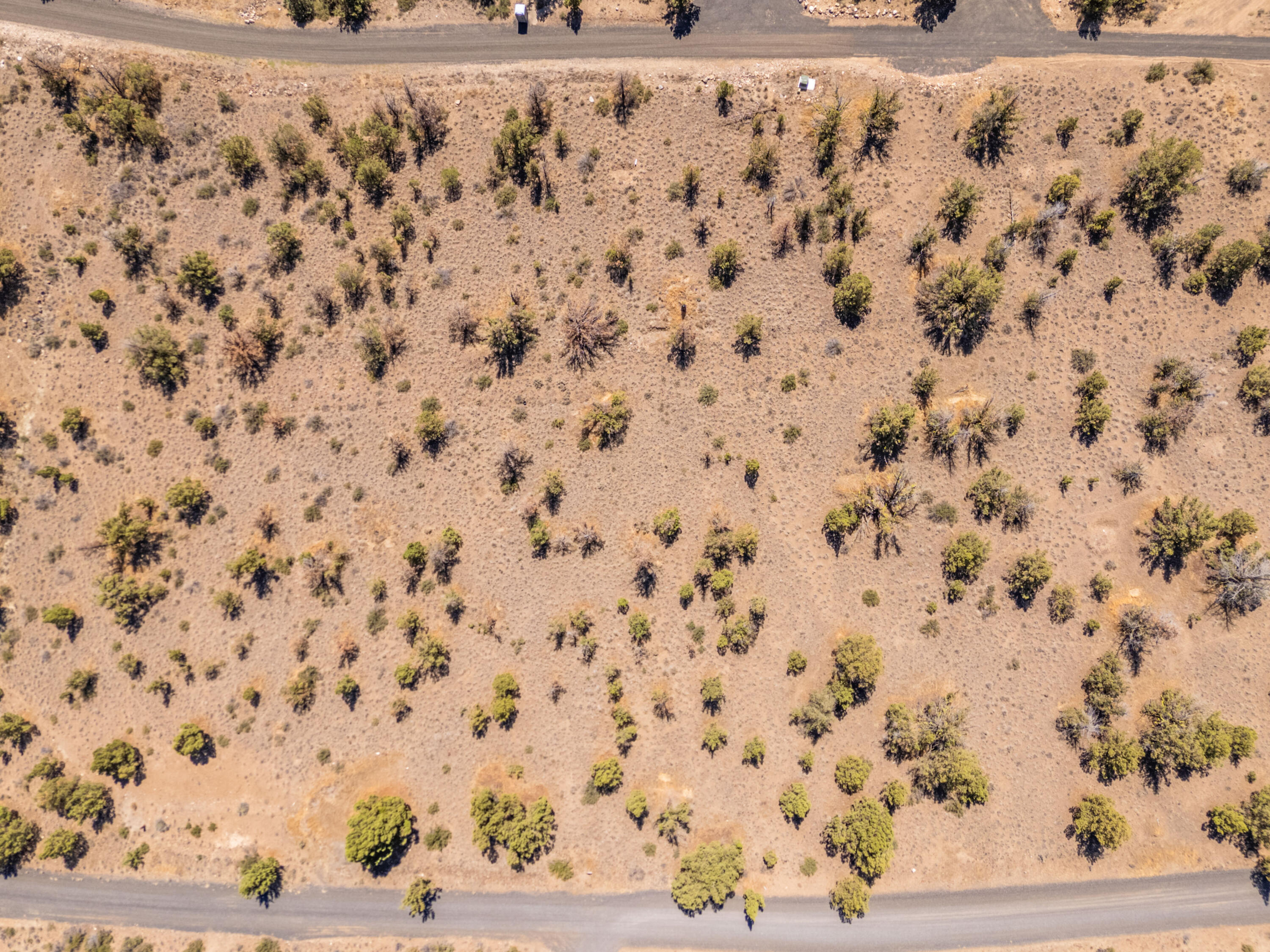 Lakeview Cove - Land