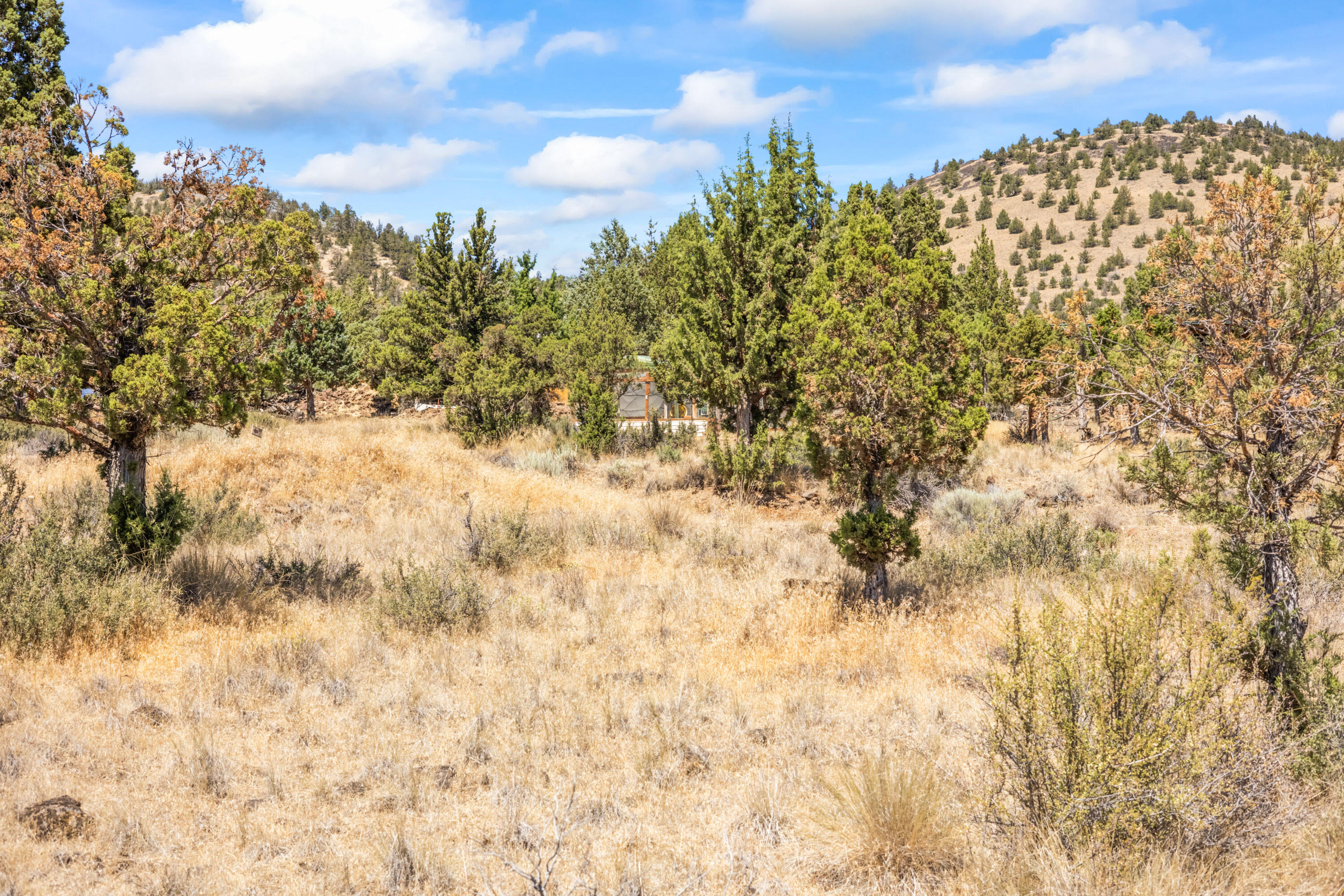 Lakeview Cove - Land