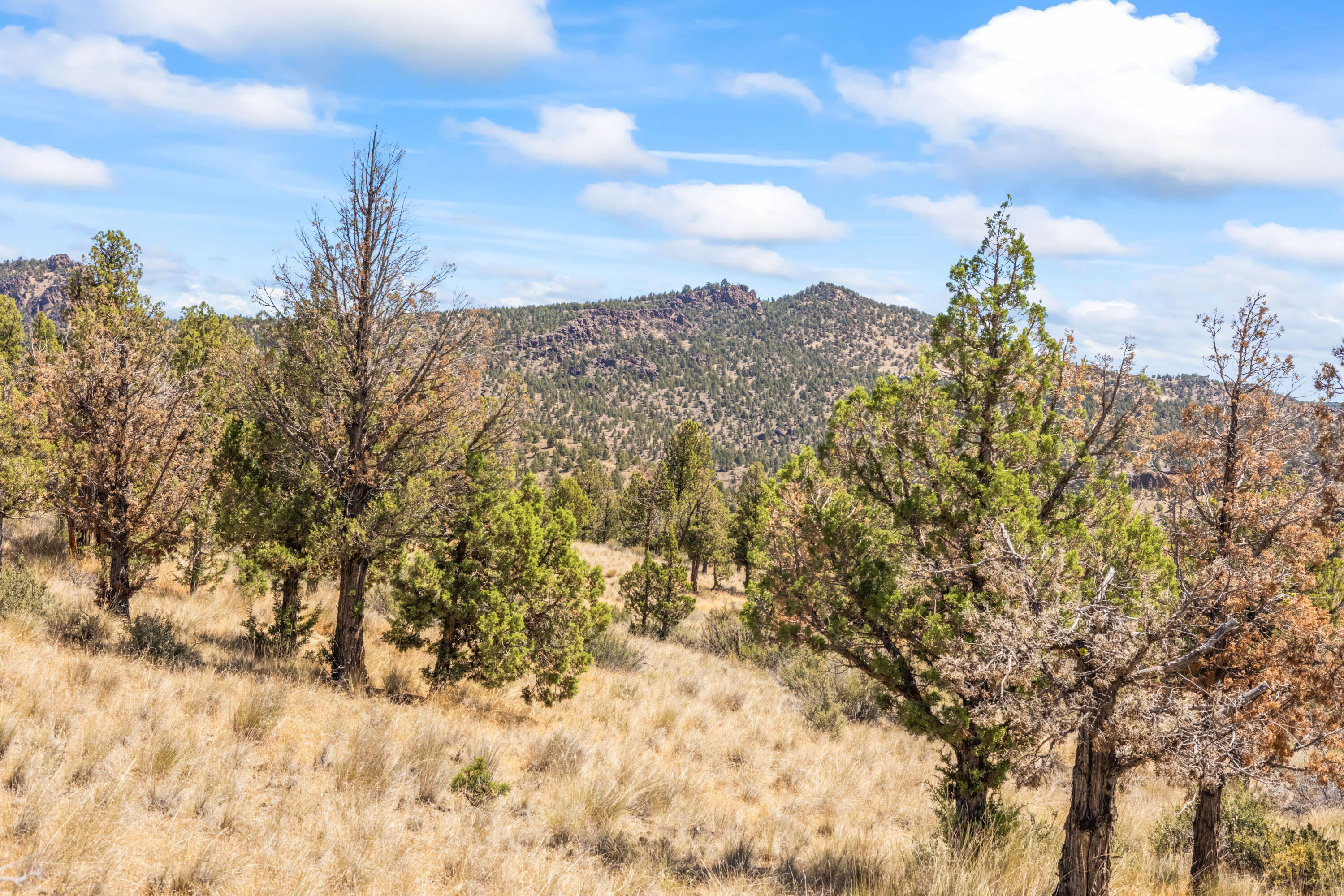 Lakeview Cove - Land