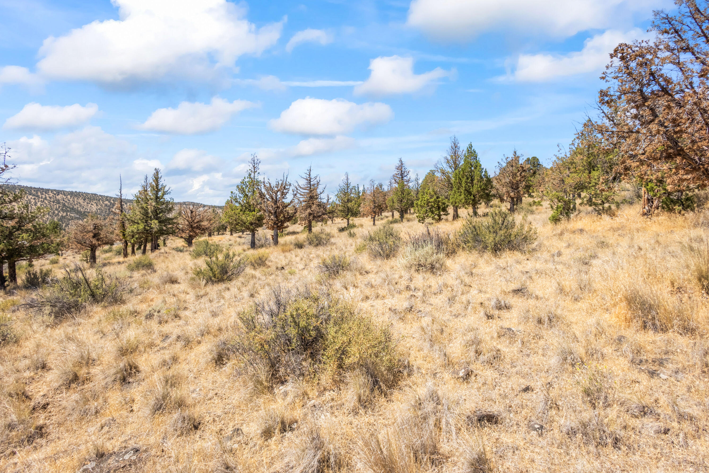 Lakeview Cove - Land