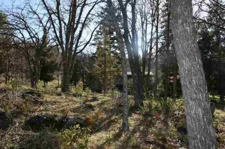Beautiful Lakeside Lot With Great Views Of Lake, Mt Scott And Mountains. Partially Wooded With Oaks And Pines. Located In Area Of Exceptional Homes And Abundant Wildlife. Ownership Includes All Running Y Amenities