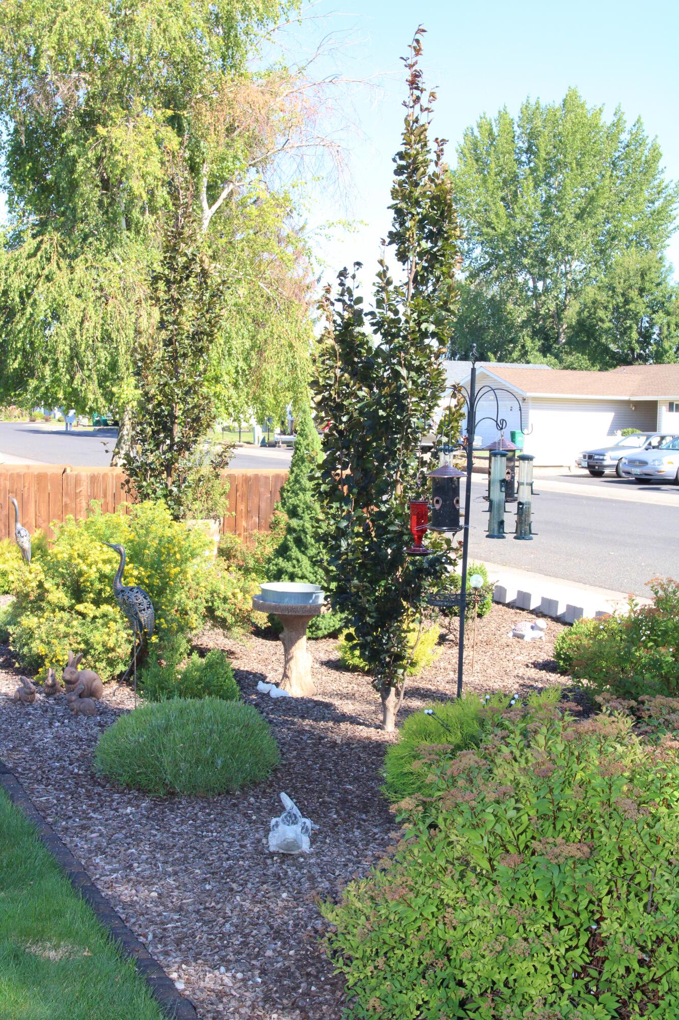 Meadows -Third Addition - Residential