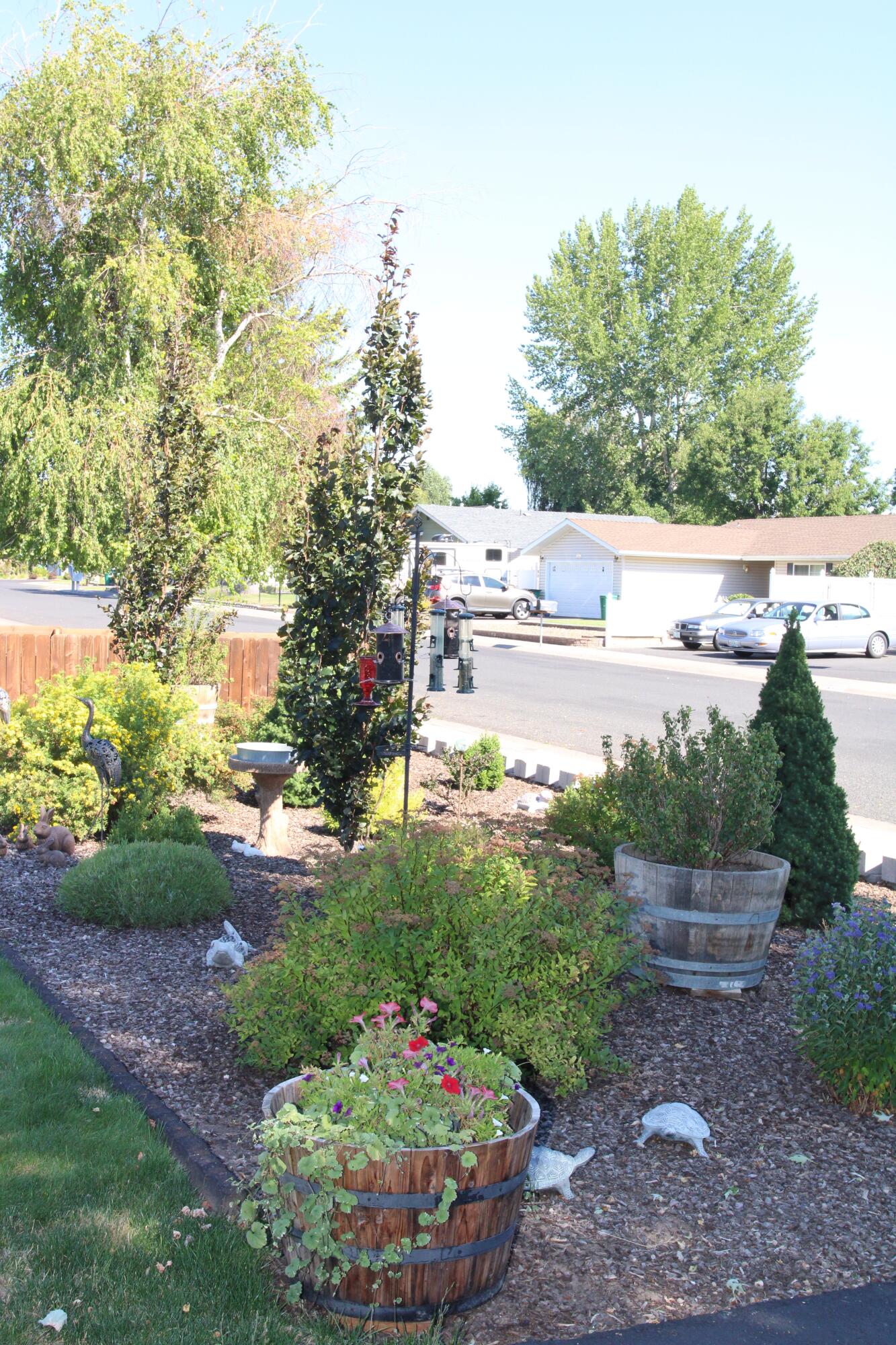 Meadows -Third Addition - Residential