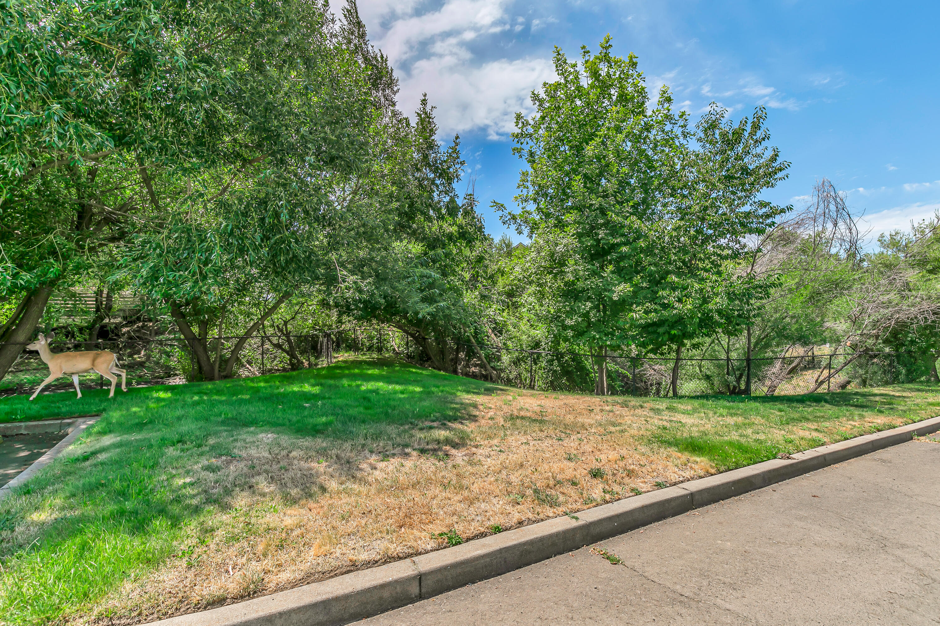 Mountain Creek Estates Phase 2 - Residential