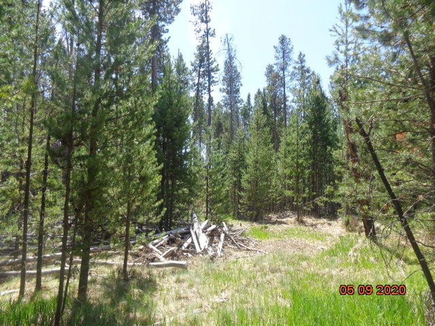 1 acre parcel located in DRRH off State Rec. Rd. situated between 2 developed homes. There is a Special Road district that maintains the roads all year round. Recent ATT sand filter system approval in the rear of the property. Power is located at the road. A well treed and level parcel that allows new owner to clear trees suitable for their personal house site while providing plenty of future fire wood.
