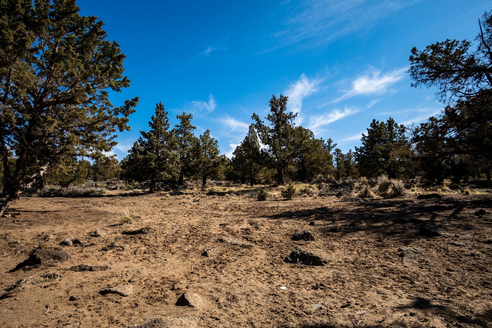 Big Sky Country - Residential