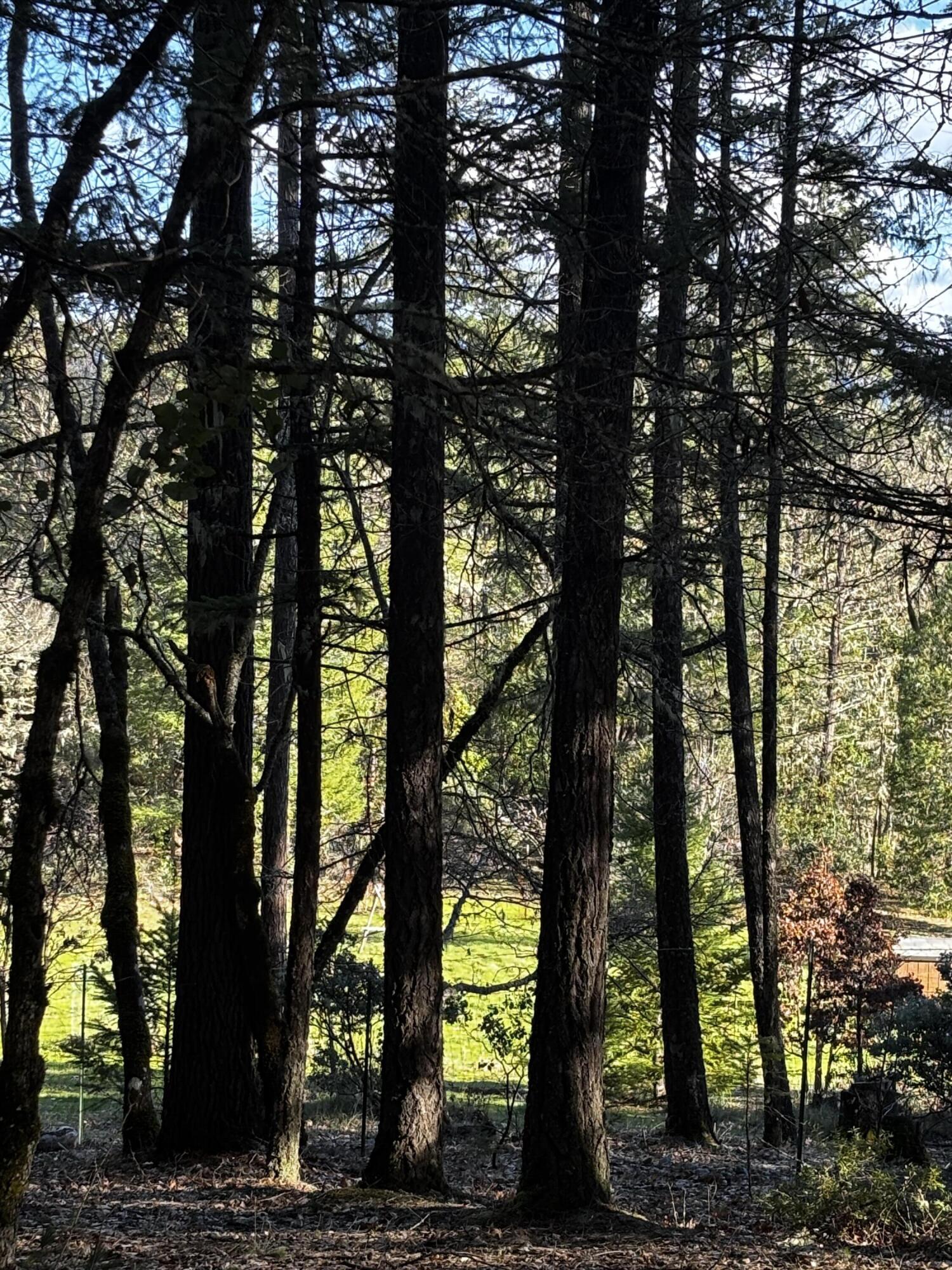 140 Draper Valley Road