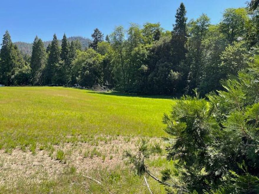 Ready to get away from the Rat Race of the city?  Welcome to the peaceful Applegate Valley! Here is your chance to get out of the crowded downtown and relax in the country while listening to the creek babbling peacefully over the moss covered rocks of Thompson Creek as it winds through your property. Backed up to BLM land for endless trail possibilities, You can wander to your hearts content.  The very gently sloping property is very well suited for horses or as big a garden as you desire complete with irrigation rights.  Zoning allows for a home to be built here. Come out with your agent and take a look.