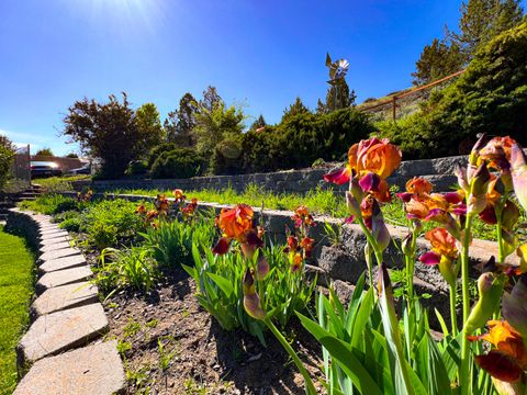 Tiny photo for 858 E Main Street, John Day, OR 97845 (MLS # 220215853)