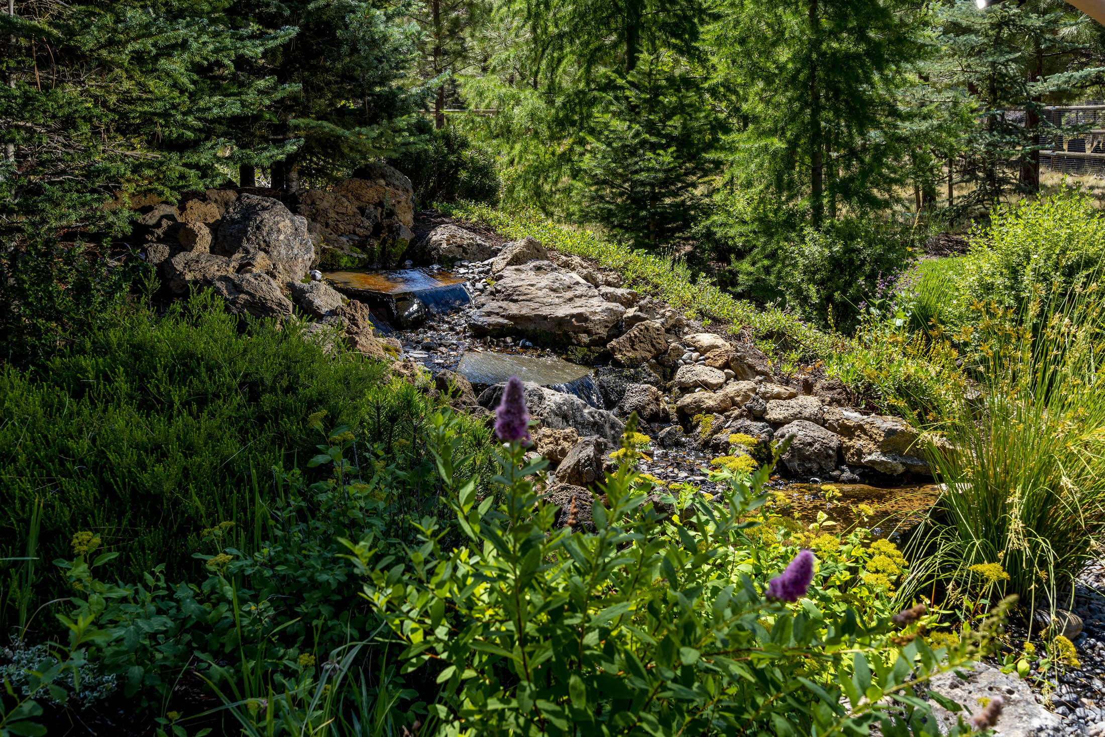 Woodside Ranch - Residential