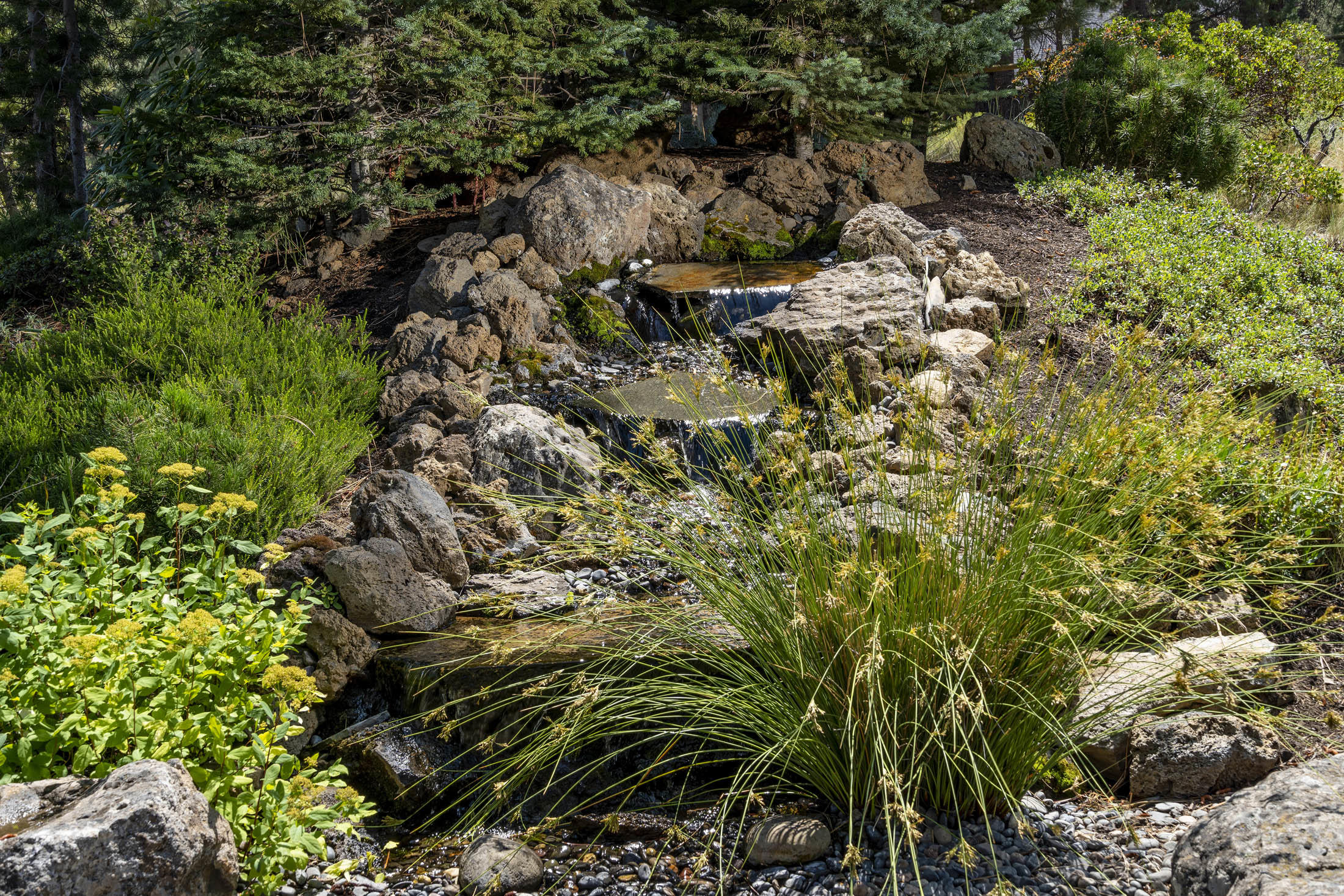 Woodside Ranch - Residential