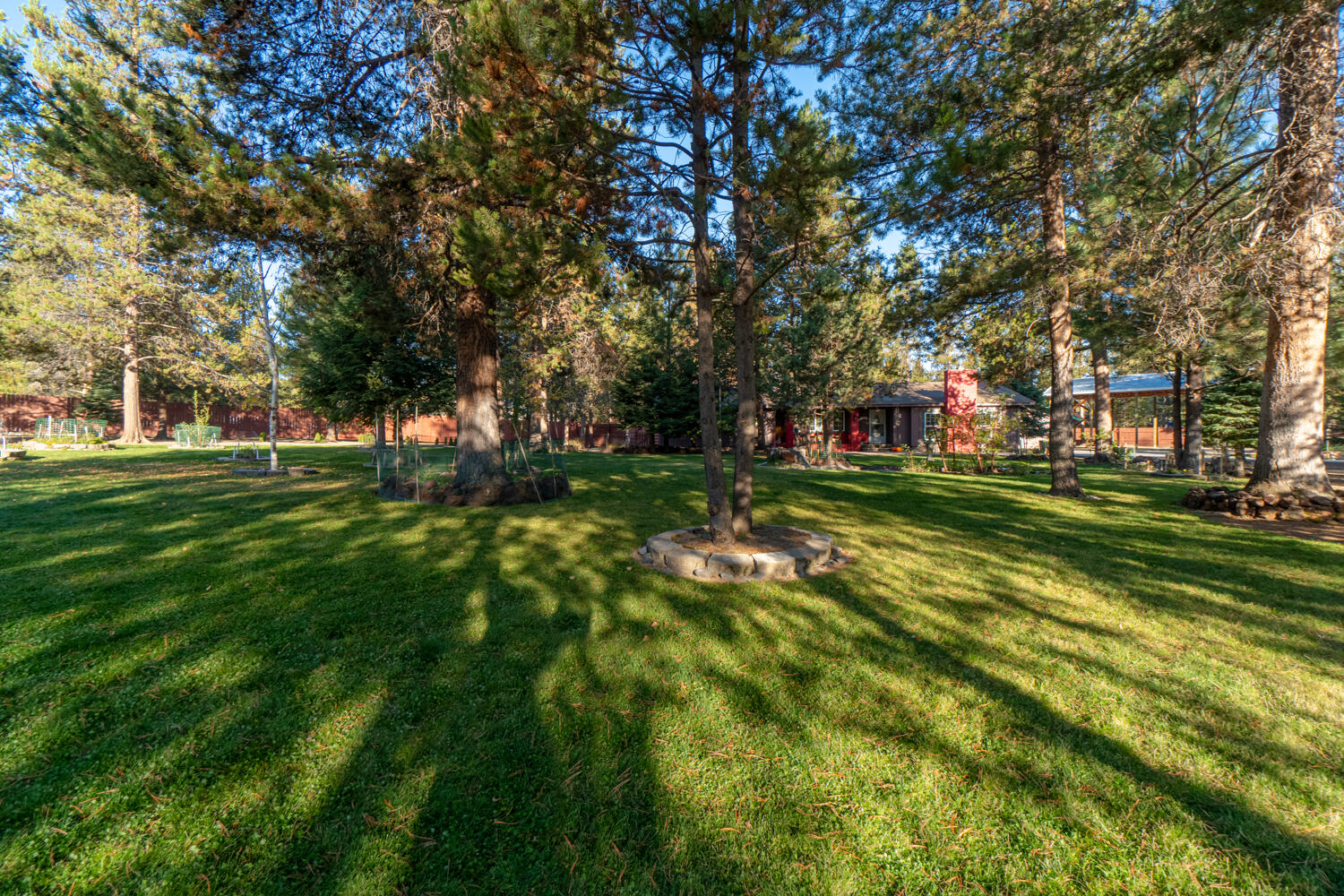 Tall Pines - Residential