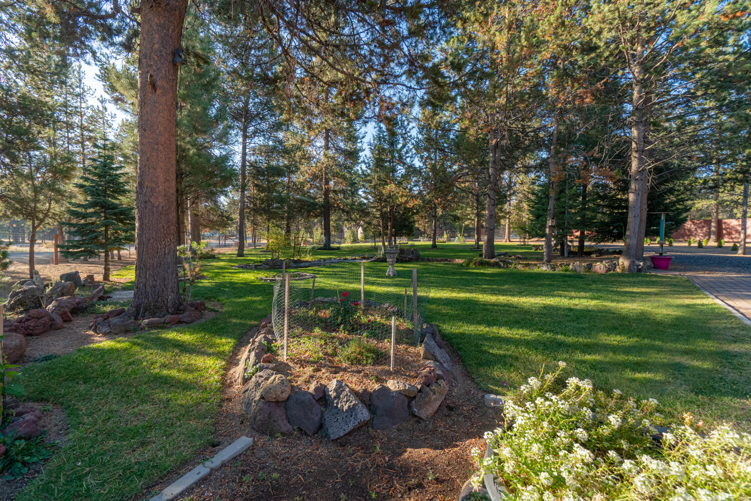 Tall Pines - Residential