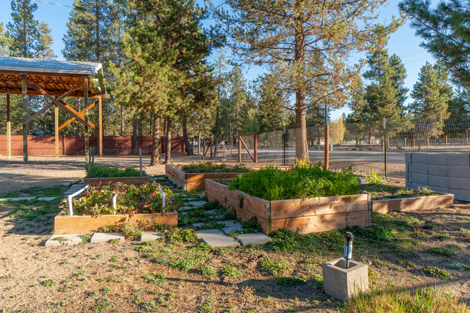 Tall Pines - Residential