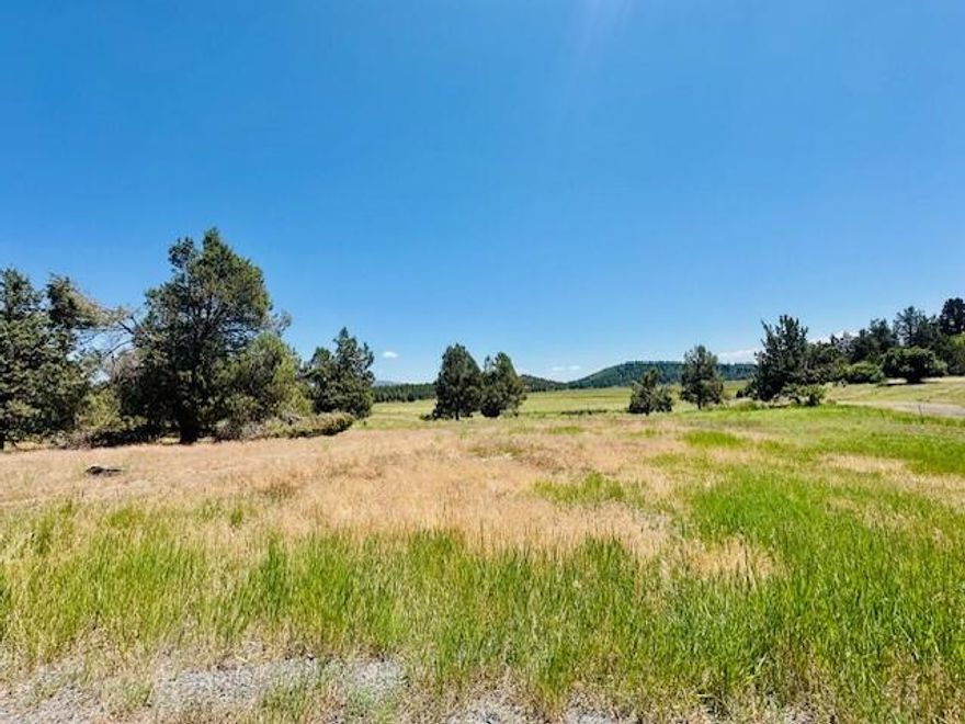 Build Your Dream Home in the Prestigious Running Y Resort - .94 Acre Lot with Stunning Views!
Perfectly situated to capture sweeping views of the picturesque farmlands below, this homesite offers the ideal blend of natural beauty, privacy, and resort-style living. Generously sized .94-acre lot with mostly level terrain for easy building. All utilities at the property line, including water, sewer, electricity, and Spectrum cable/internet. Amazing resort amenities include: pool, fitness center, pickleball courts, walking trails, and more access to great dining options and a variety of outdoor recreation activities right in the community. Whether you're ready to build now or invest for the future, this property offers a perfect opportunity to create your custom home in a setting that combines serenity, luxury, and an active lifestyle.