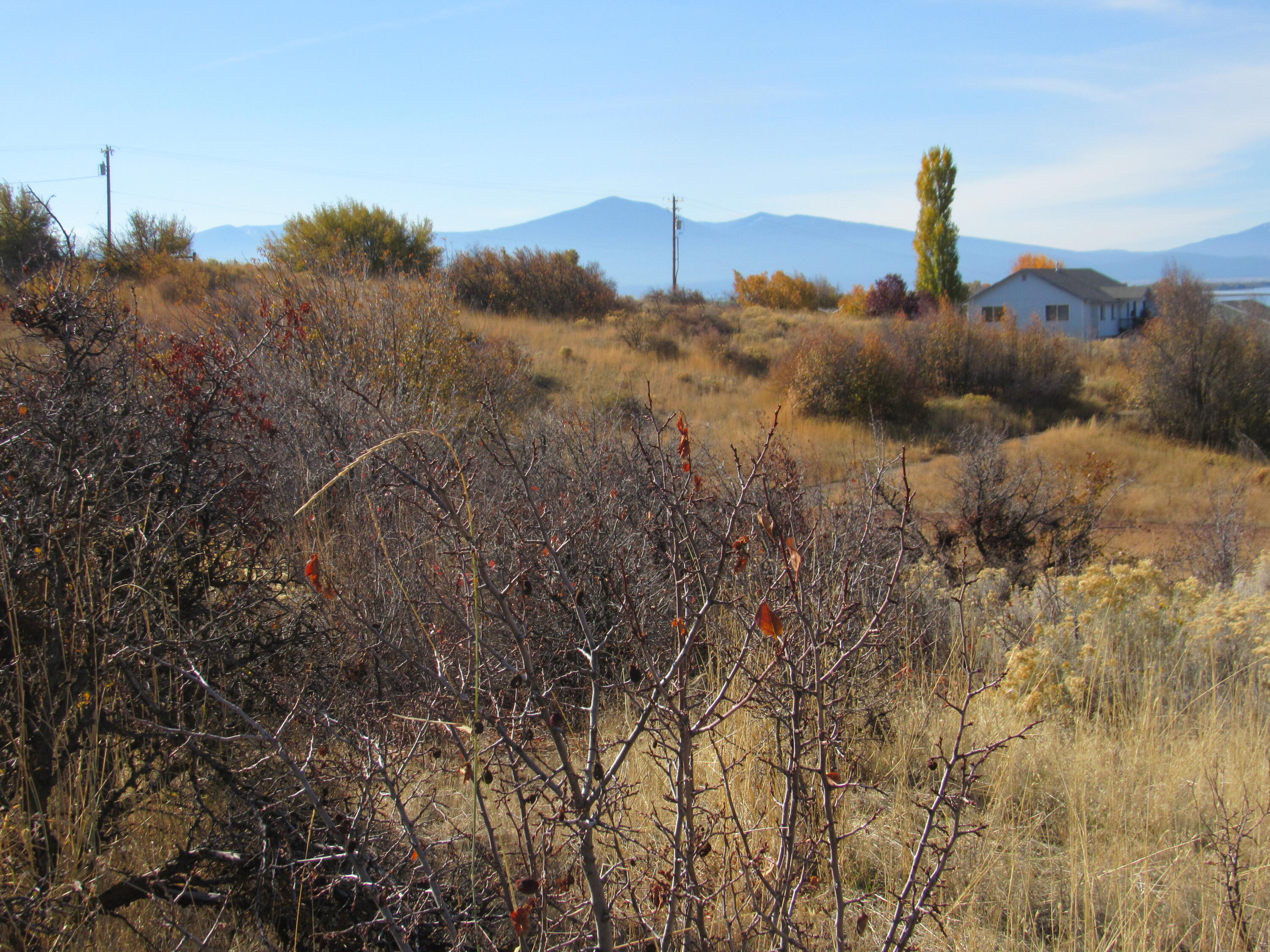 Oregon Shores -Unit 2 - Land