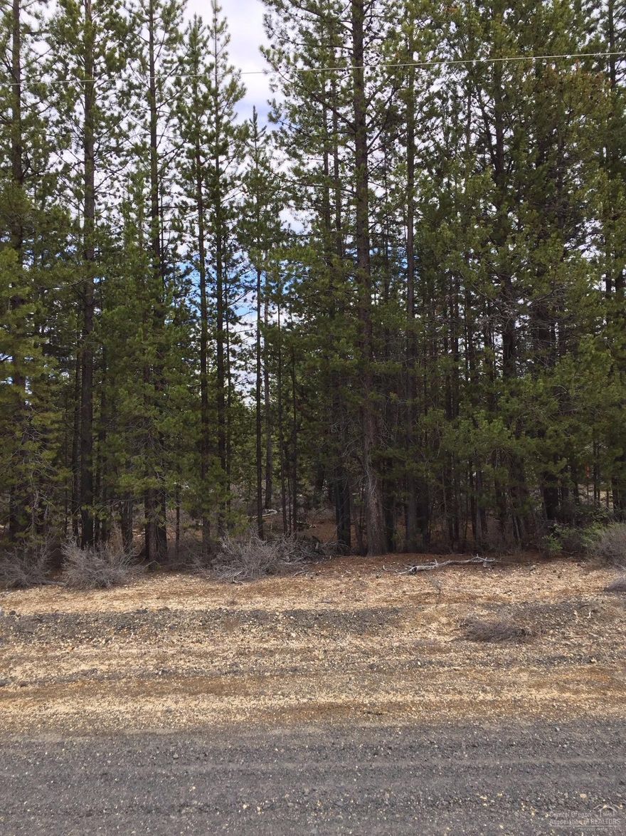 This one acre parcel backs up to Forest land. Purchase 1 acre and a hunters cabin property next door at an additional cost, making it 2 acres of privacy. Tons of trails for horseback riding, quading, snowmobiling, and hunting, right from your own property.