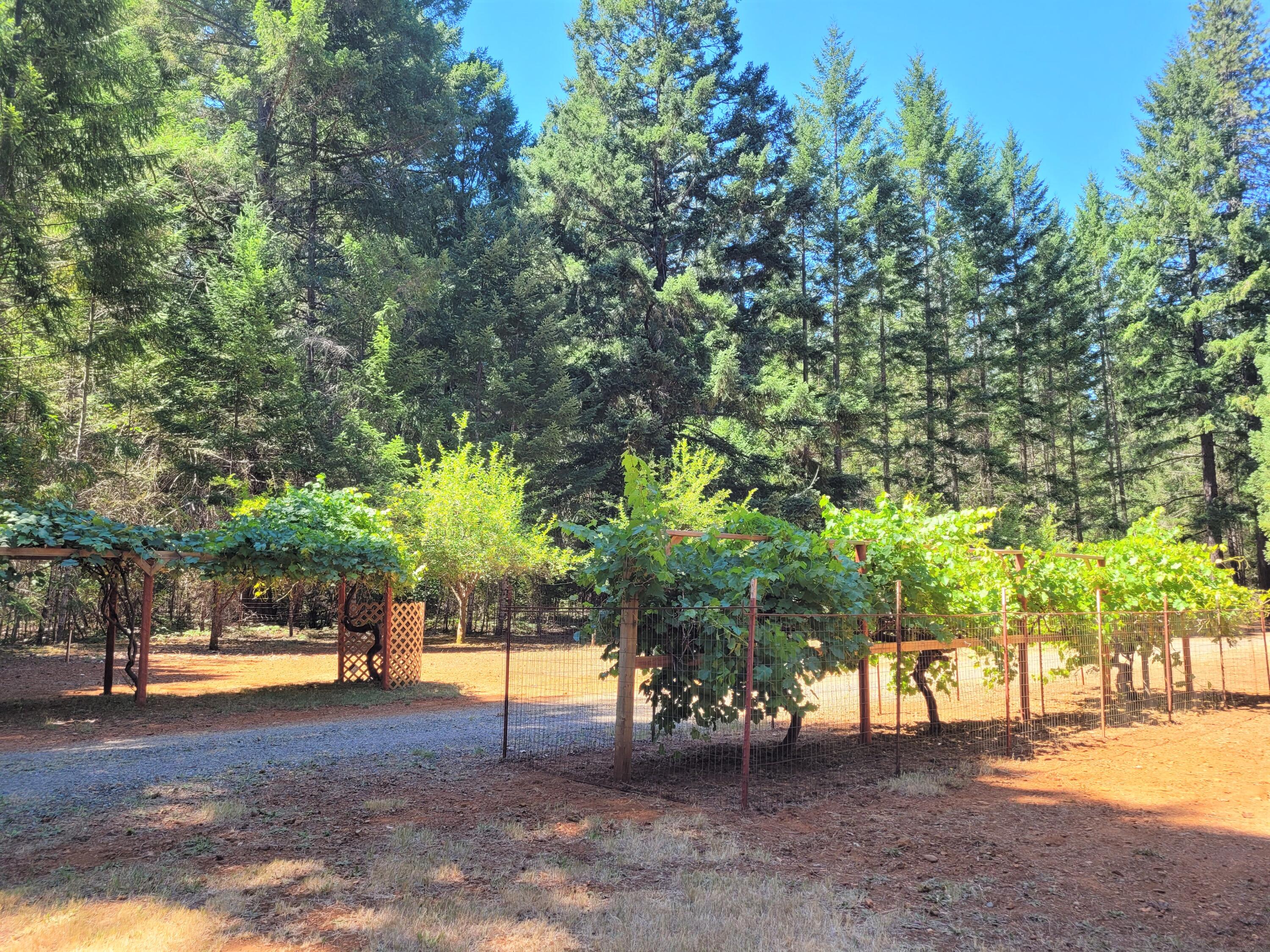 Idlewild Subdivision - Residential