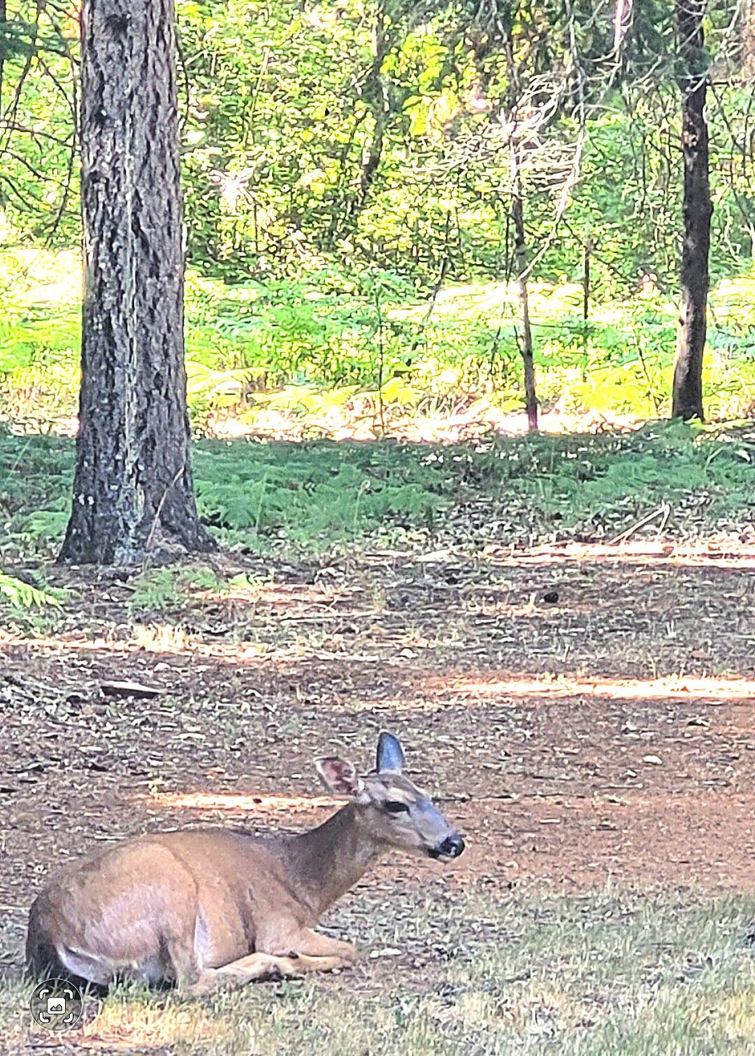 Idlewild Subdivision - Residential