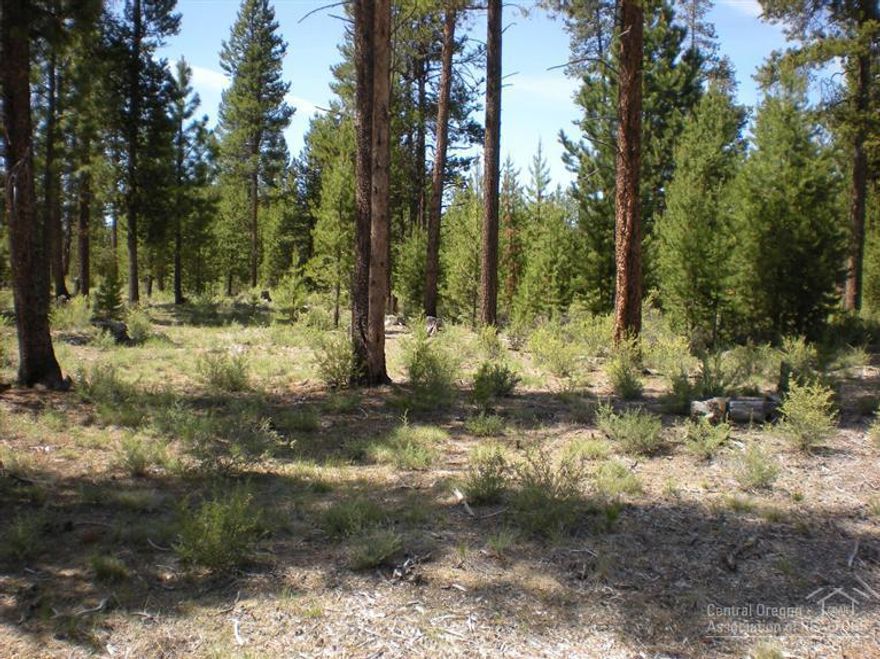1.02 Acre Lot in Jackpine Village. Property is located in a Residential Area, approximately 7 miles south of LaPine.