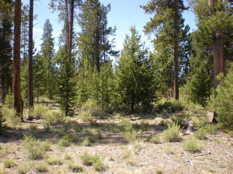 Jack Pine Village - Land